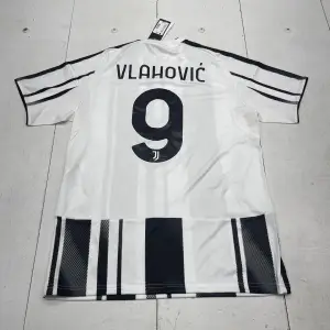 benvenga carlo
