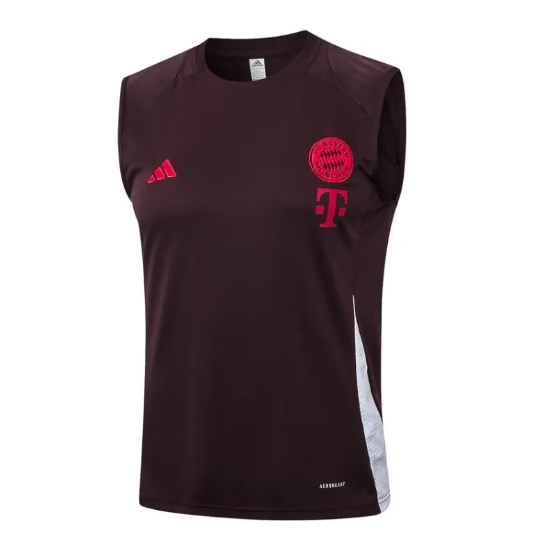 Camiseta de manga corta del FC Bayern Munich 2024/25 - Versión jugador estrella, Marrón oscuro