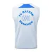 Bayern Munich 2025/26 Shorts and Vest Set - Grey
