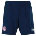 Bayern Munich 2026/27 Away Kids Kit Jersey