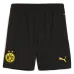 Kit Casa Junior Borussia Dortmund 2024/25 con Reus - Versione Tifoso (Giallo)