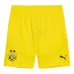 2024/25 Borussia Dortmund Away Shorts Fan Edition (Yellow)