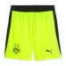 Ensemble maillot enfant extérieur Dortmund 2025/26 - Gris/Vert