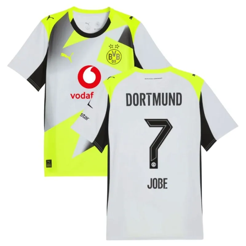 Dortmund JOBE 2025/26 Auswärtstrikot - Grau/Grün