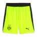 Dortmund GUIRASSY 2025/26 Kids Away Kit - Grey/Green