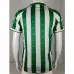Real Betis Retro-Trikot 1995/96 Heimspiel - Grün/Weiß