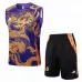 Set di shorts e gilet del Real Madrid 2024/25 - Viola