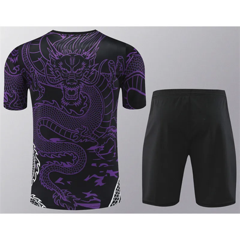 Camiseta de entrenamiento + pantalones cortos del Real Madrid 2024/25 - Púrpura