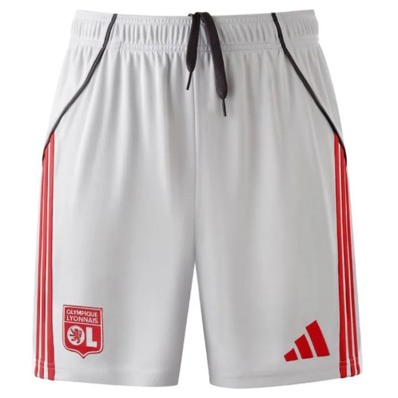 Lyon 2025/26 Third Kids' Kit Jersey - Gray