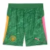 Camiseta y pantalones cortos de portero niños Manchester City 2025/26 - Verde