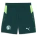 Manchester City 2025/26 Fourth Shorts - Green