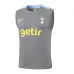 Tottenham Hotspur 2024/25 Weste + Shorts - Grau
