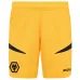 Wolverhampton Wanderers 2024/25 Heim - Kinder - Trikotset - Gelb