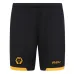 Conjunto camiseta infantil Wolves 2025/26 Local - Amarilla
