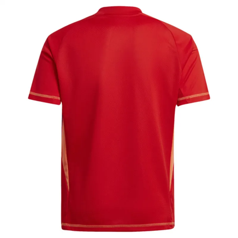 Juventus 2024/25 Goalkeeper Jersey - Red