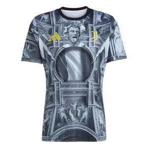 Juventus 2025/26 Maglia Pre-Partita Del Piero - Grigio