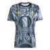 Juventus 2025/26 Del Piero Pre-Match Jersey - Grey