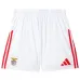 Kit domicile pour enfants de Benfica 2025/26 - Rouge