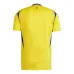 Maglia da campo di Al Nassr 2024/25 - Giallo