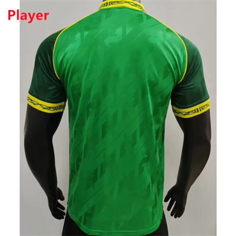 Celtic 2024/25 Special Jersey - Player - Green