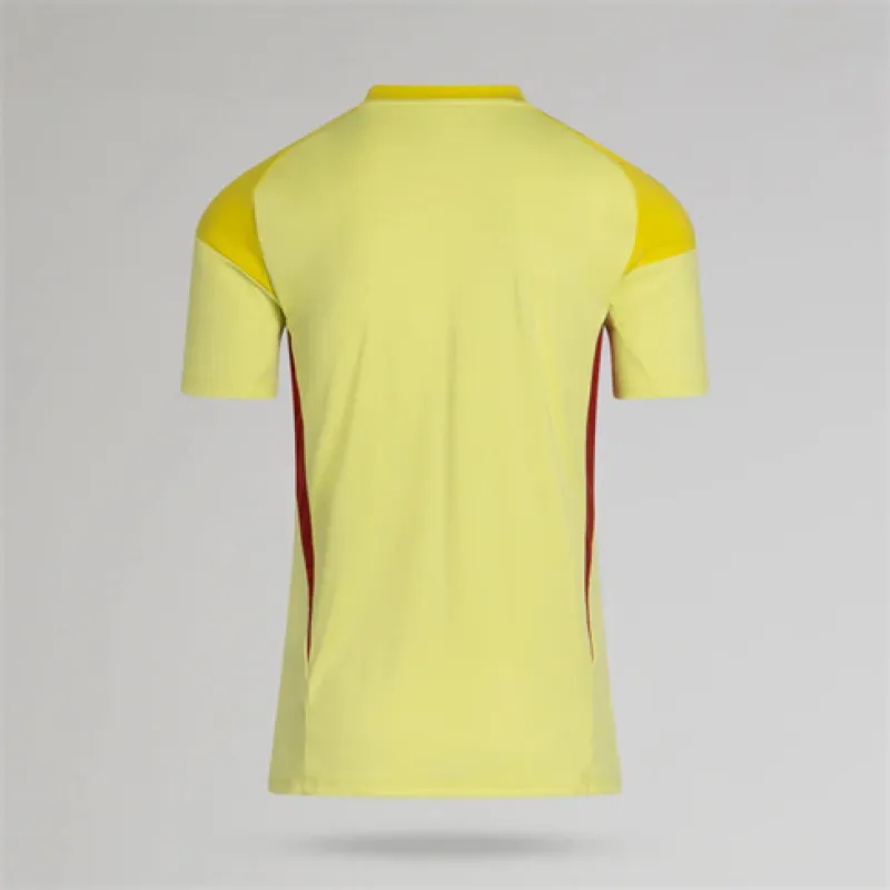 Terza maglia Celtic 2025/26