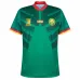 The home jersey of the Cameroon national team in the 2022 World Cup, green.