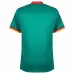 The home jersey of the Cameroon national team in the 2022 World Cup, green.