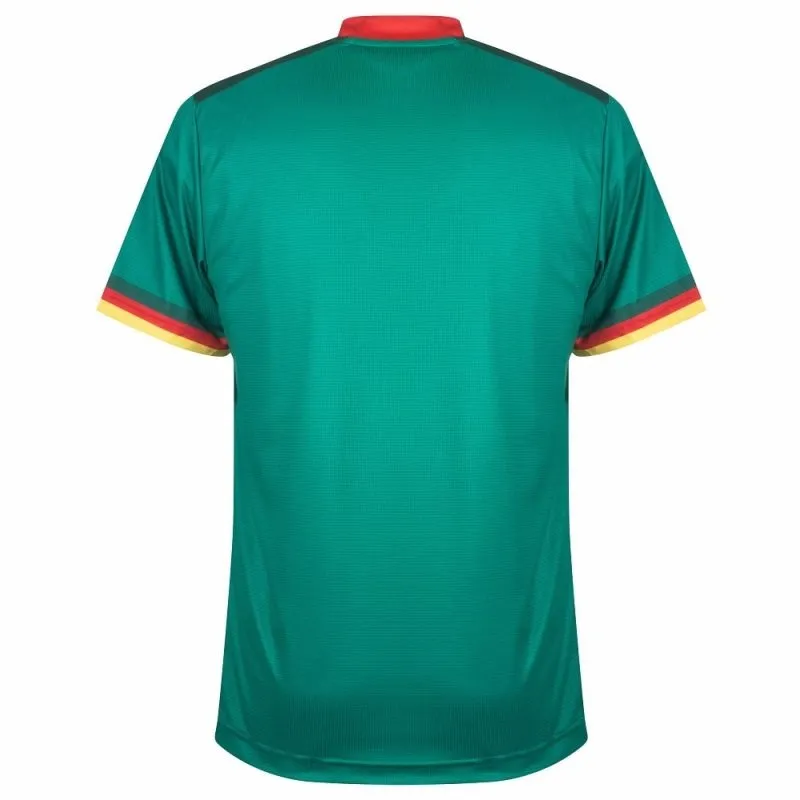 The home jersey of the Cameroon national team in the 2022 World Cup, green.