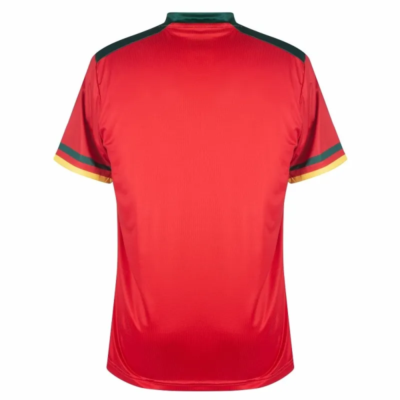 The Cameroon's jersey for the 2022 World Cup, red.