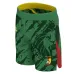 Cameroon 2025/26 Away Shorts - Green