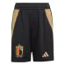 Belgium 2024/25 Home Shorts - Black