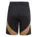 Belgium 2024/25 Home Shorts - Black