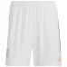 Germany 2022 World Cup Home Kids' Jersey Set - White