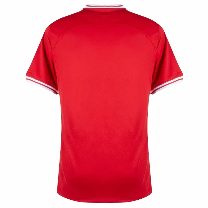 Poland's away jersey for the 2022 World Cup - Red