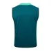 Gilet + shorts du Portugal 2024/25 - vert