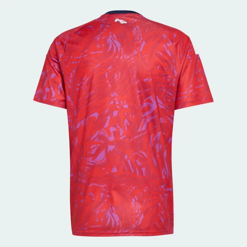 Costa Rica 2026/27 Home World Cup Jersey