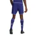 Pantalones cortos de visita de Argentina para la Copa del Mundo 2022 - Versión para hinchas (Azul)
