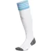 Argentina 2022 World Cup Away Socks - Fan Version (Blue)