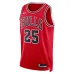 Dalen Terry Chicago Bulls Unisex 2022 NBA Draft Round 1 Icon Edition Jersey