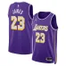 Los Angeles Lakers LeBron James Swingman Jersey - Personalization Edition - Purple