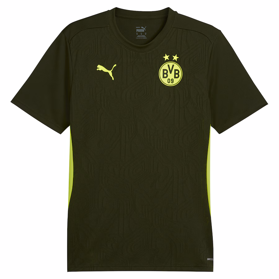 Borussia Dortmund camiseta de entrenamiento 2024/25, verde