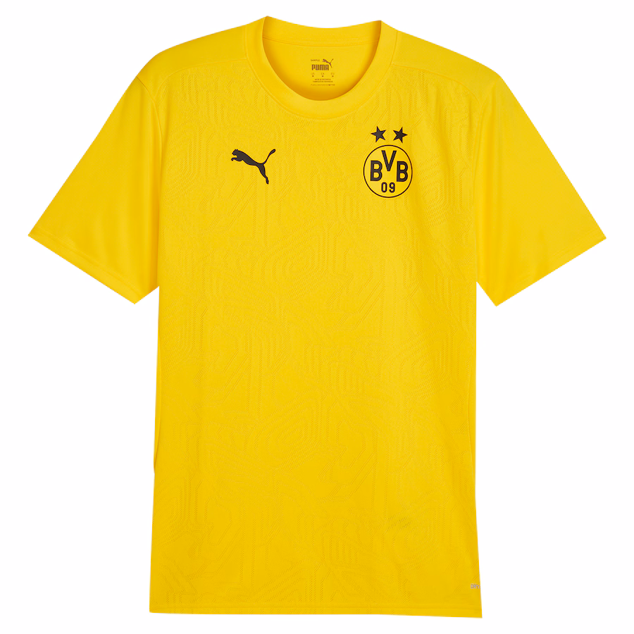 Borussia Dortmund camiseta de entrenamiento 2024/25, amarilla