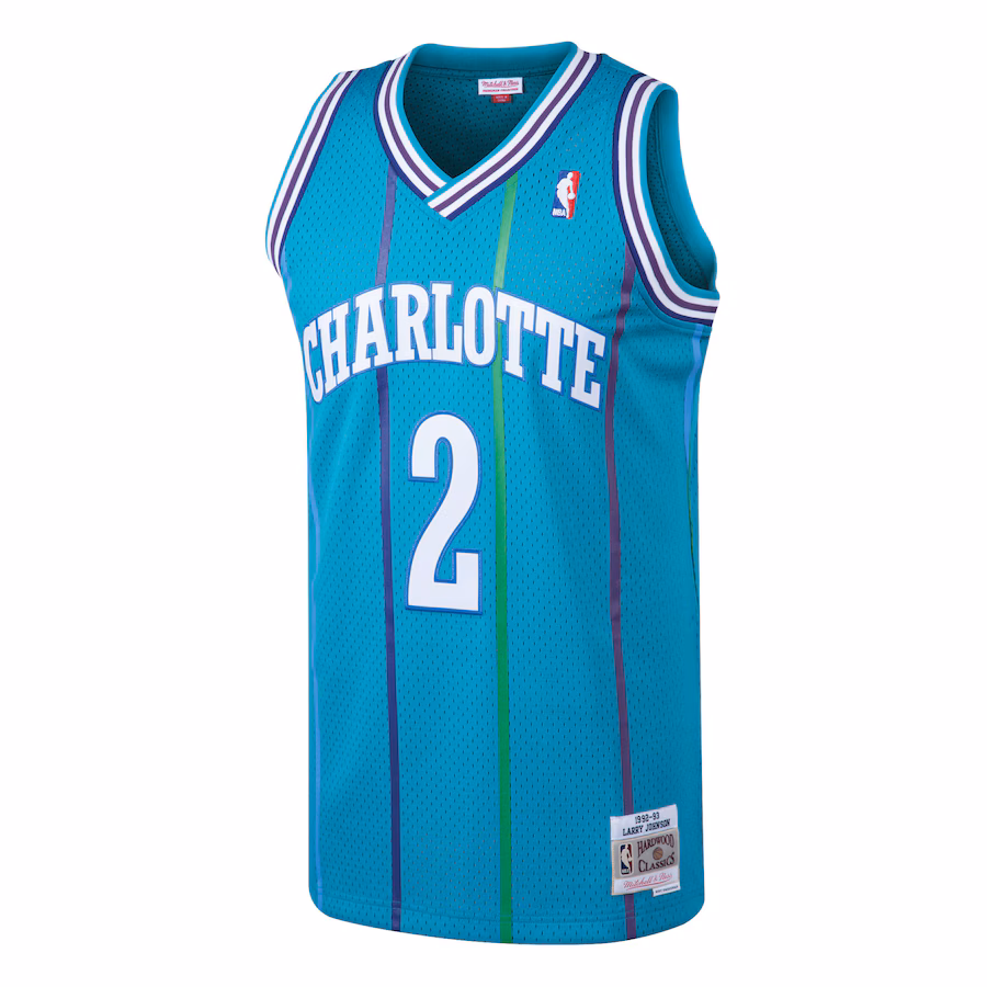 Camiseta Larry Johnson Charlotte Hornets 1992/93 Mitchell & Ness Hardwood Classics