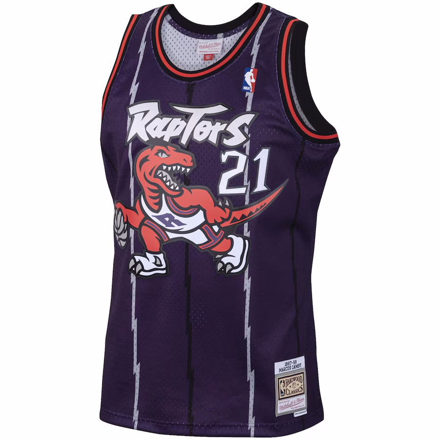 Marcus Camby Toronto Raptors Mitchell & Ness 2001/02 Hardwood Classics Swingman Jersey