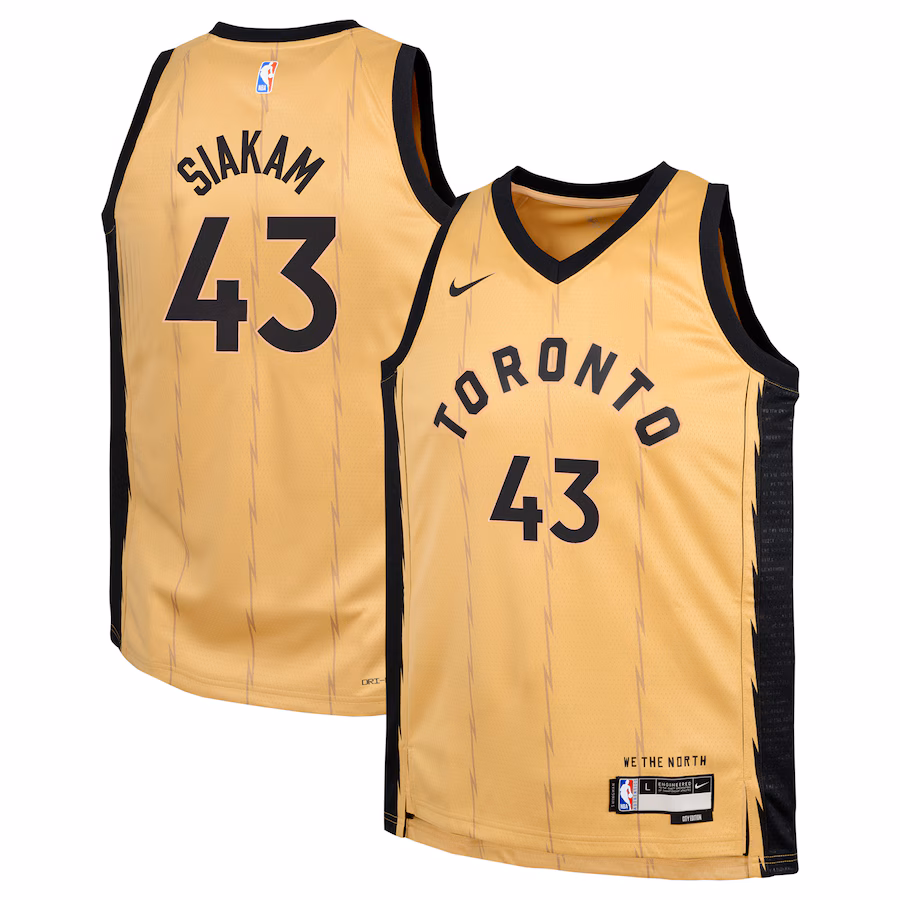 Pascal Siakam Toronto Raptors Nike City Edition Swingman Jersey